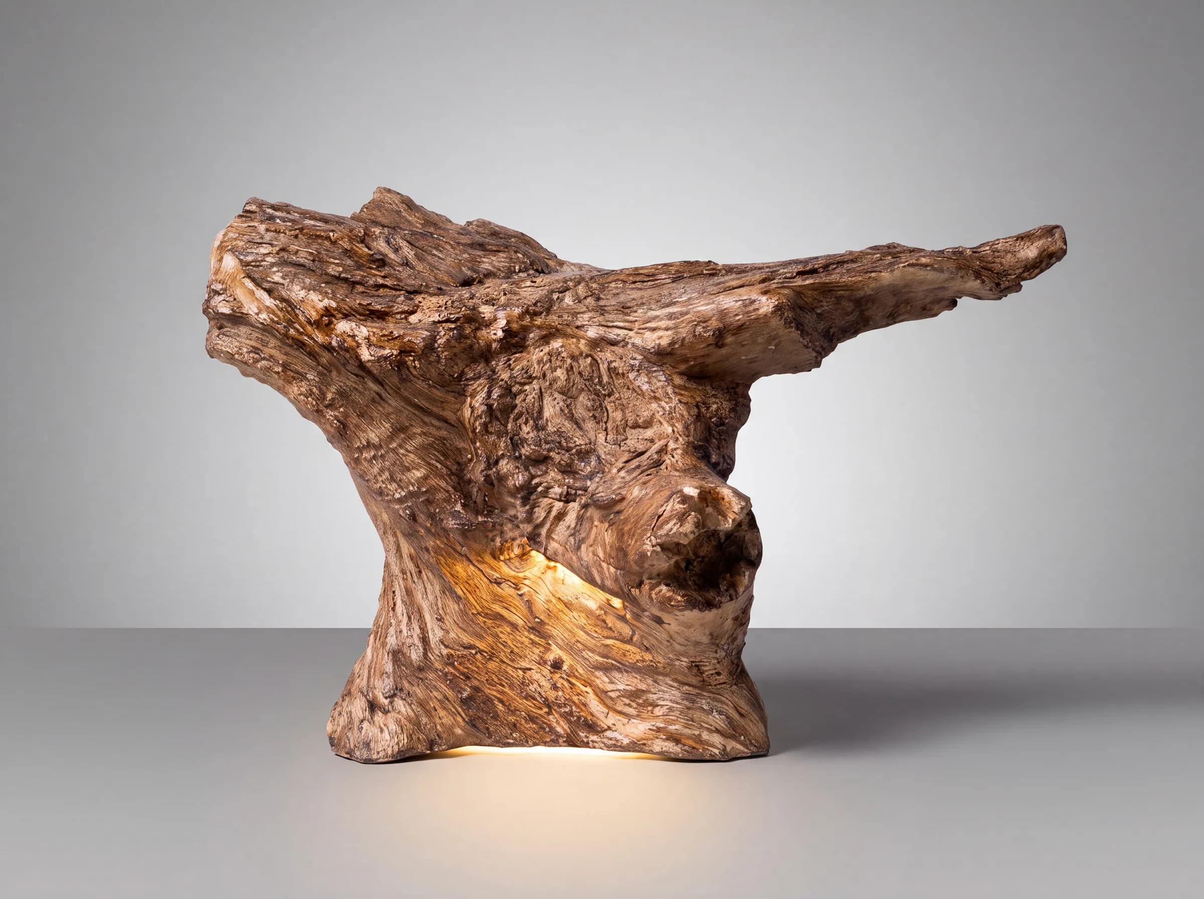 Log Light — Root Sculpture